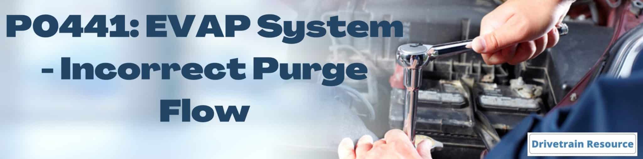 Jeep Wrangler P0441 OBDII Code Diagnosis Drivetrain Resource