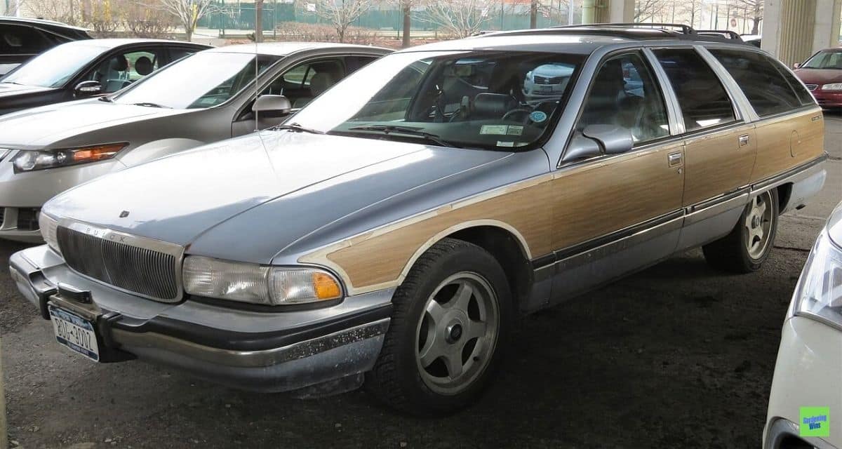 1994 Buick Roadmaster Estate wagon with woodgrain side panels