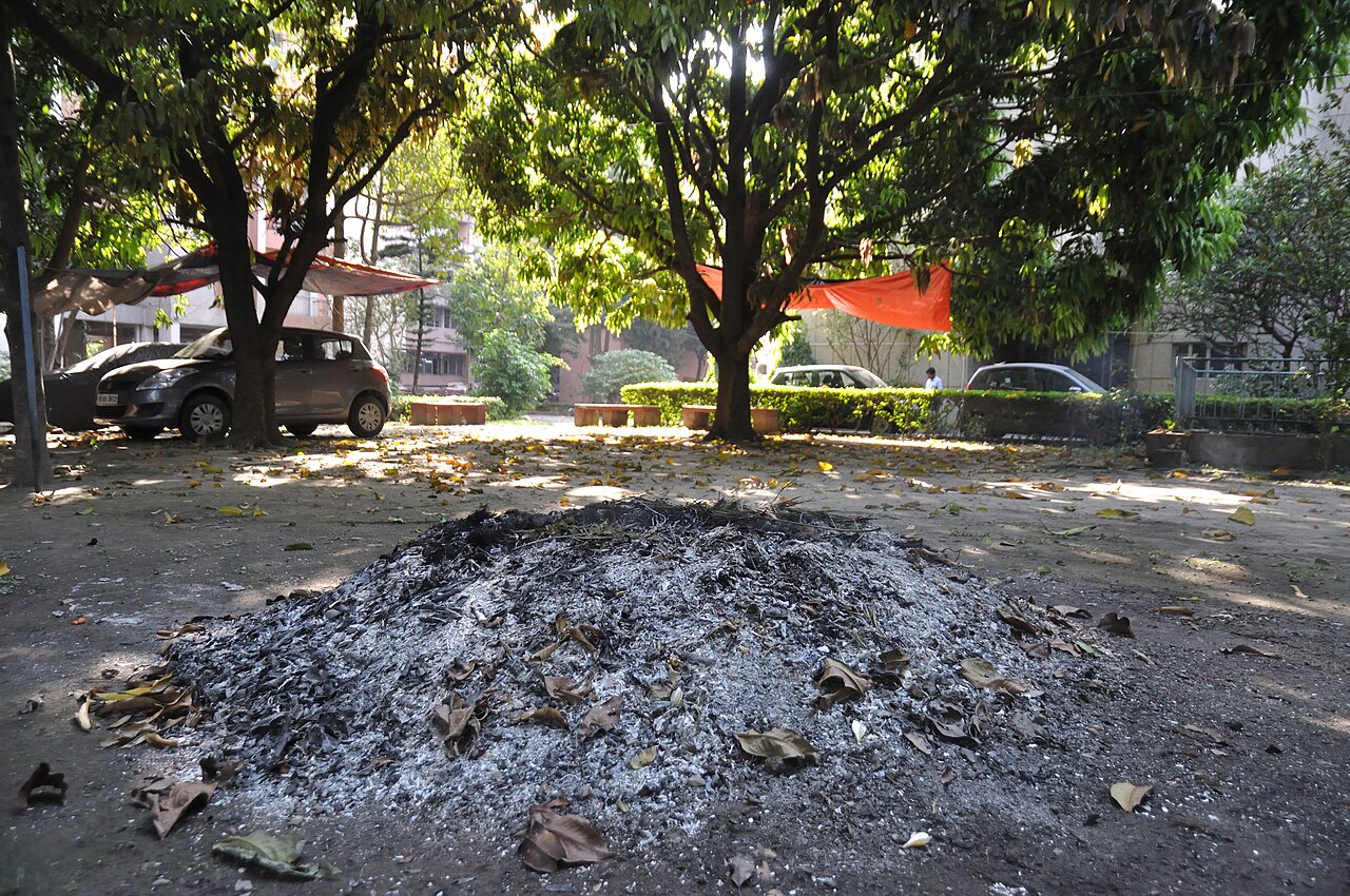 Remains of a burned leaf pile in Kolkata, India