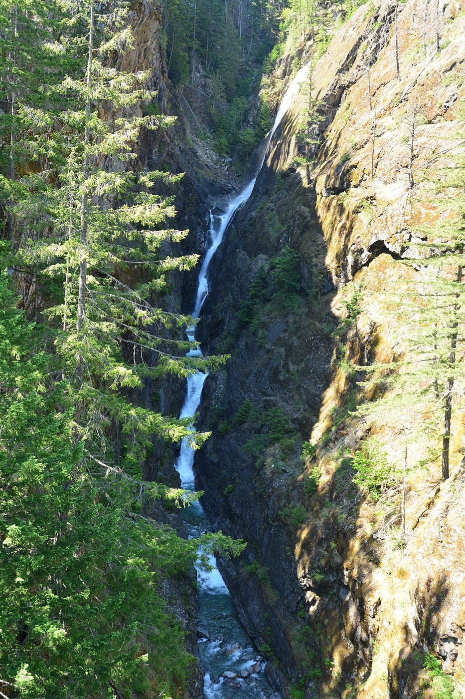 Gorge Creek Falls descending through a narrow wooded gorge