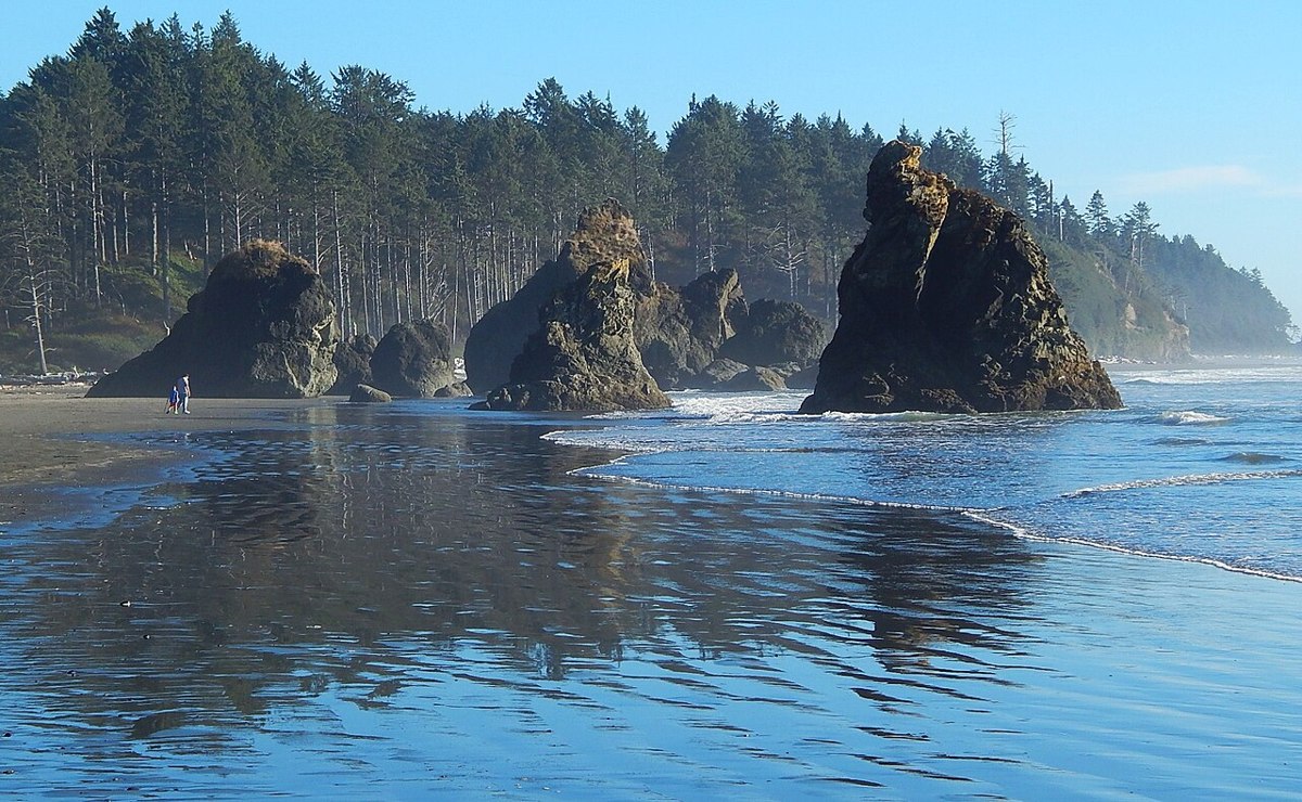 Sea stacks and driftwood at Ruby Beach on the Olympic coast