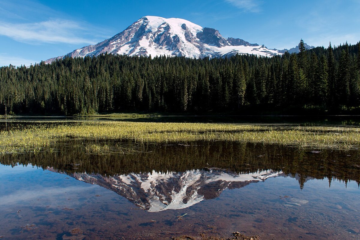 Mount Rainier mirrored in Reflection Lake beyond a band of evergreen trees