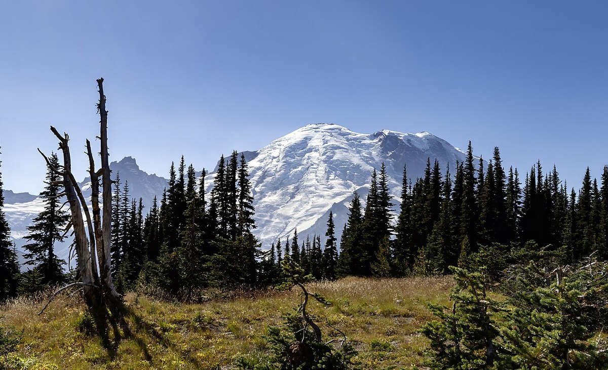 Snow-covered Mount Rainier viewed from Sunrise