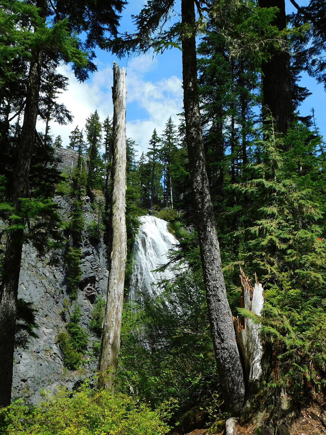 Narada Falls cascading down rock between green trees