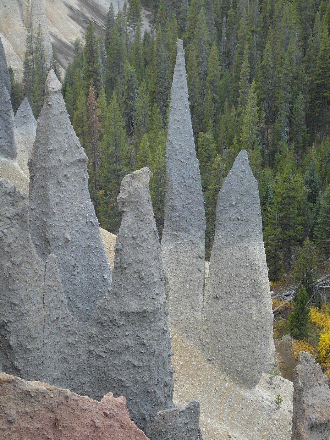 Tall pale volcanic spires at the Pinnacles in Crater Lake National Park