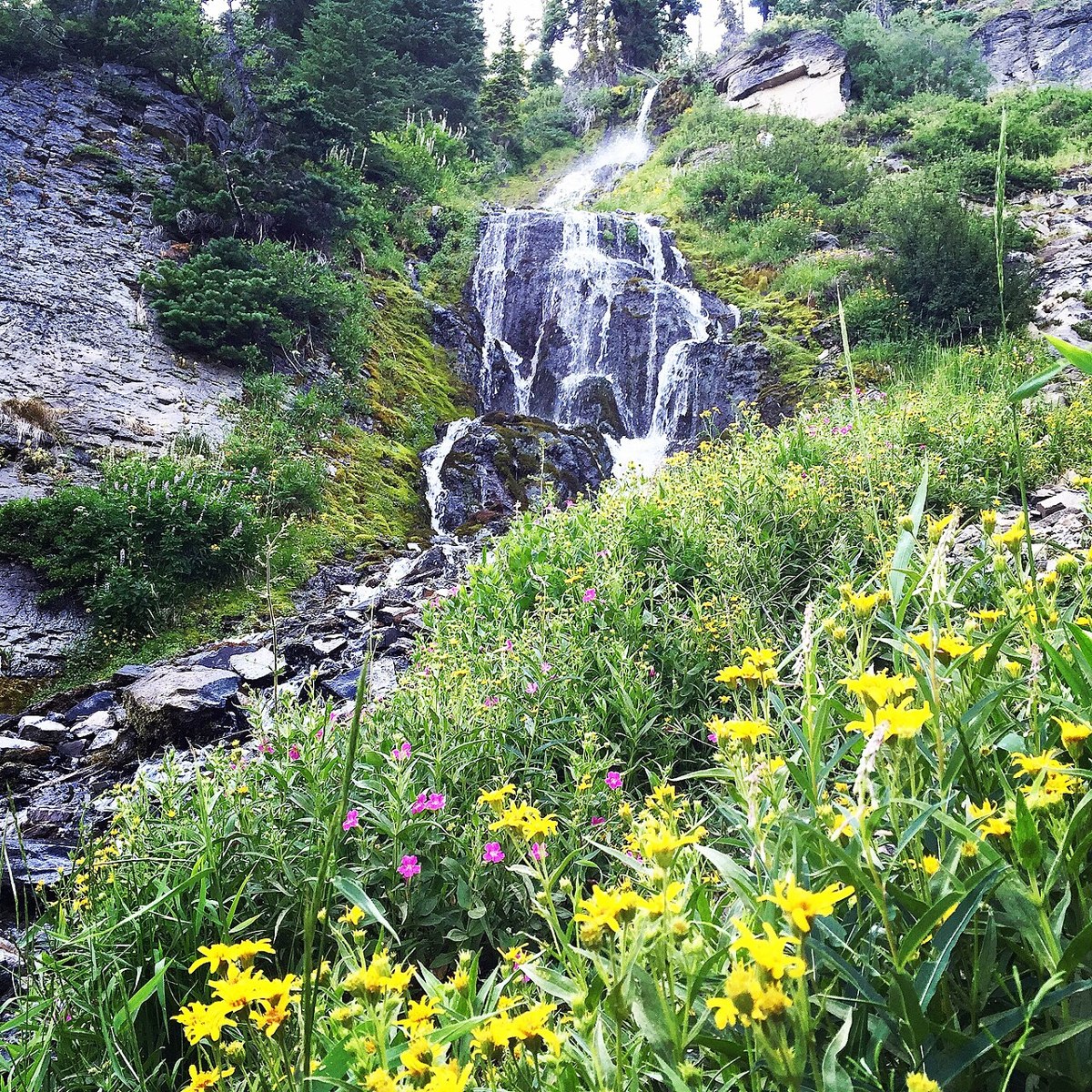Vidae Falls cascading down a green hillside