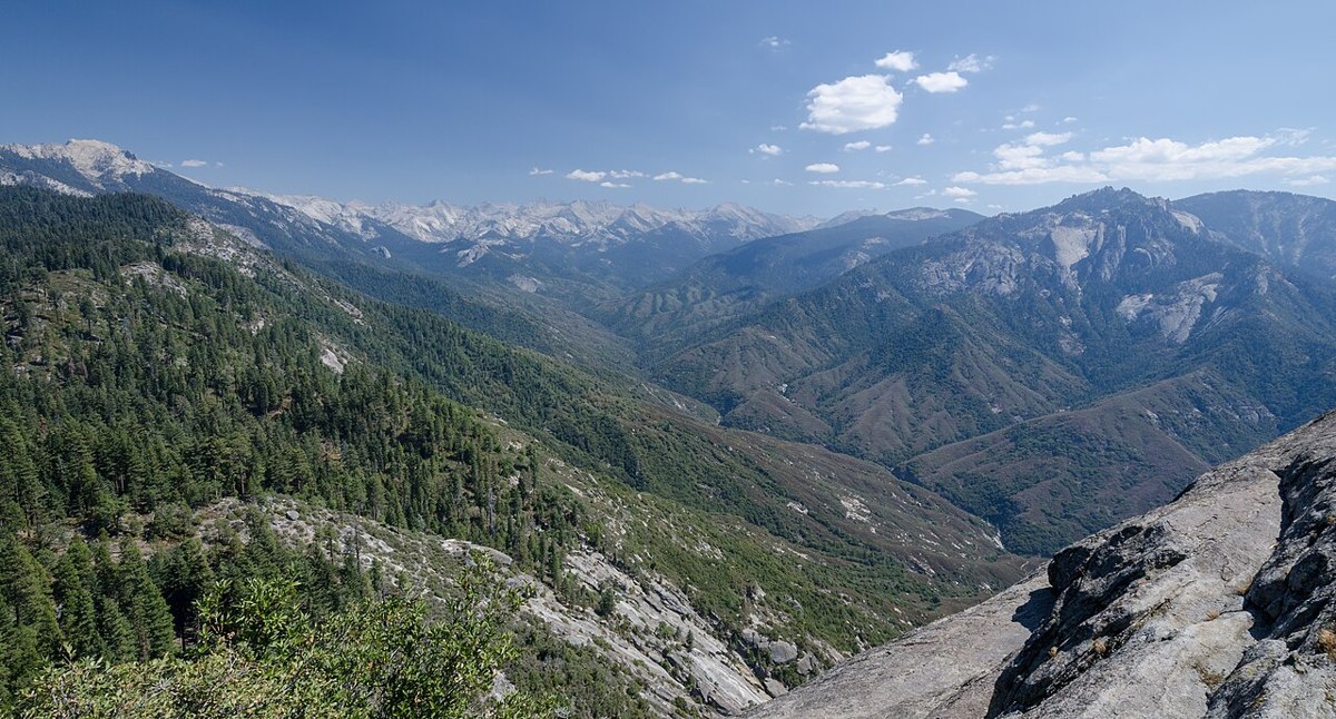Forested Sierra slopes viewed from Moro Rock