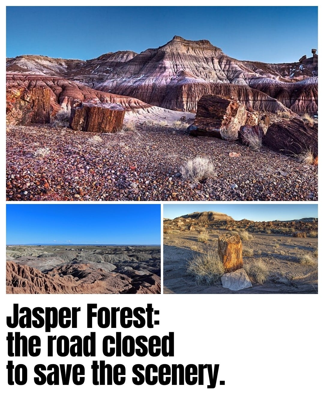 Modern views of Jasper Forest’s colorful badlands and petrified wood. The lost road once carried cars into this landscape.