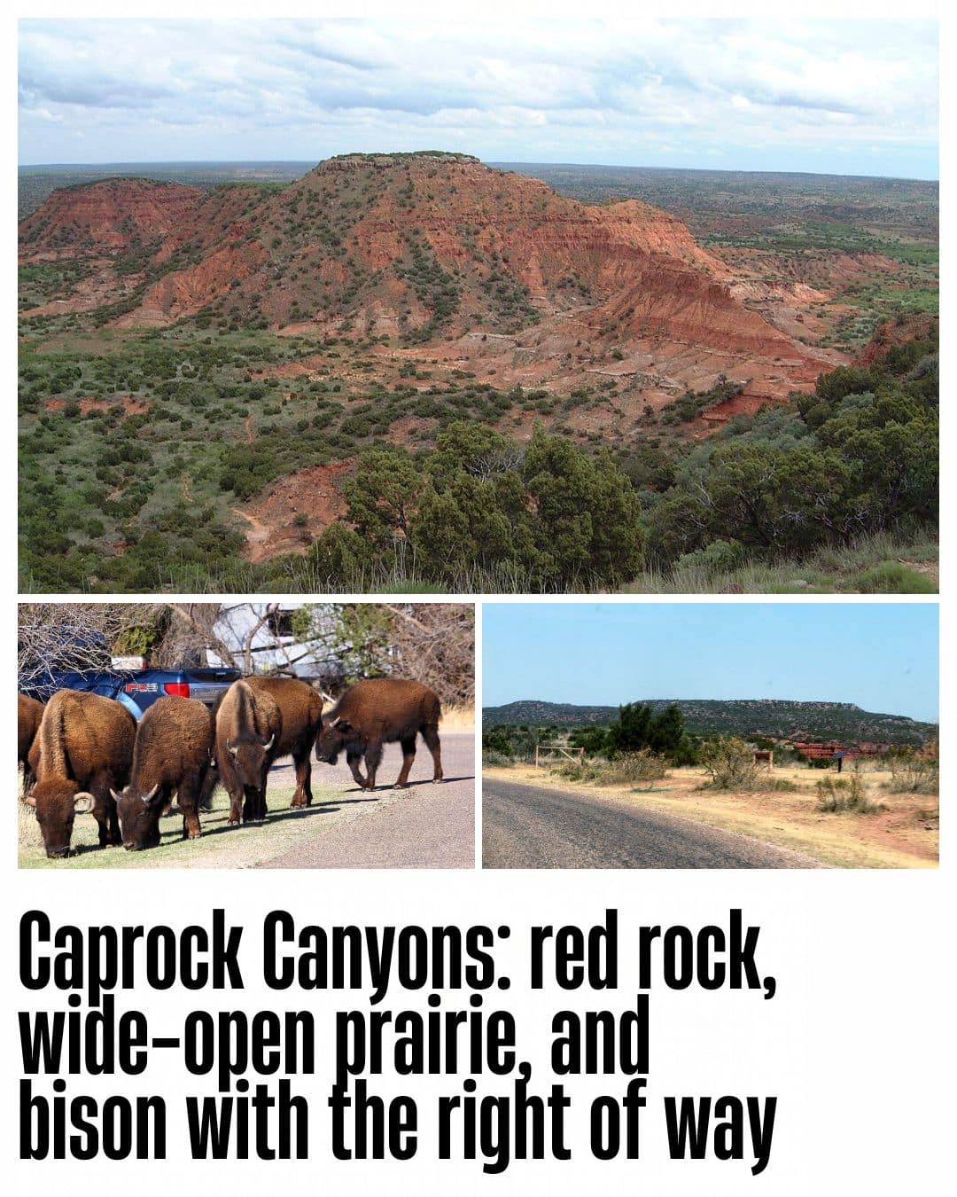 Caprock’s red-rock country, bison near the park road, and a paved-road view inside the park.