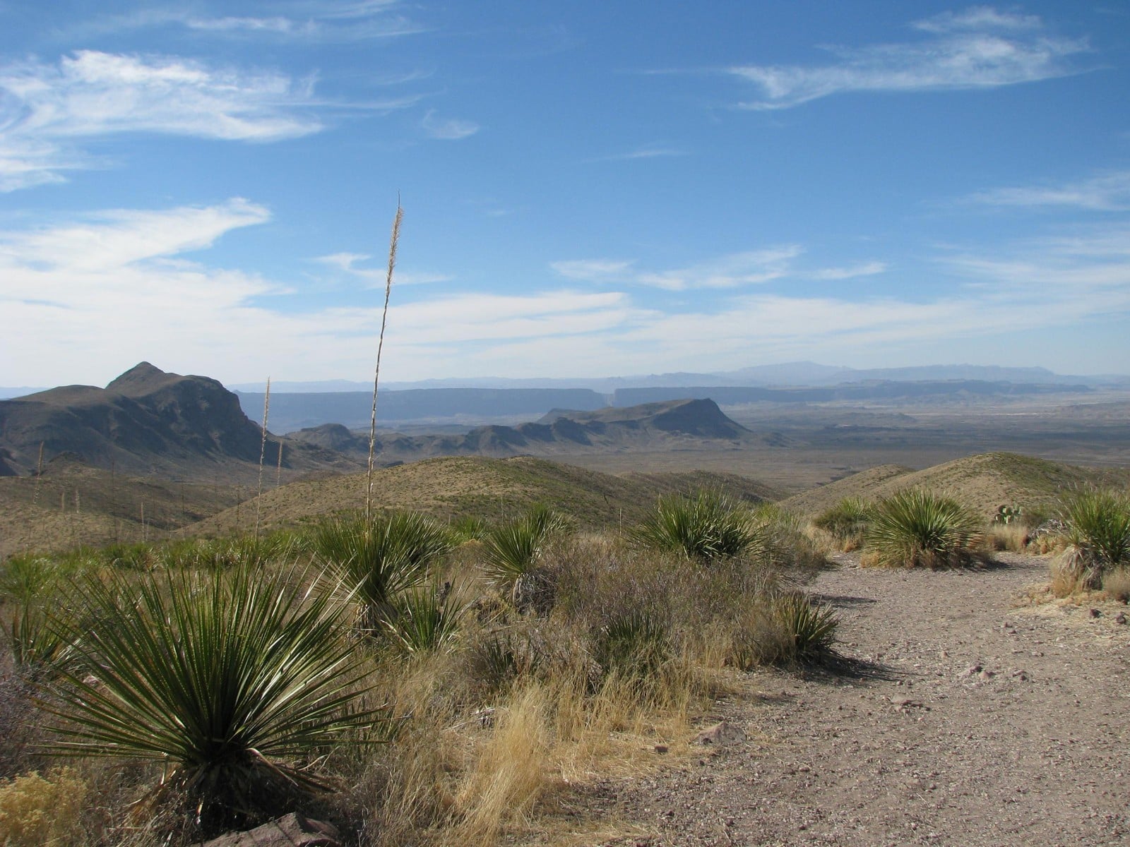 Sotol Vista opens up a vast view of Big Bend’s desert country.
